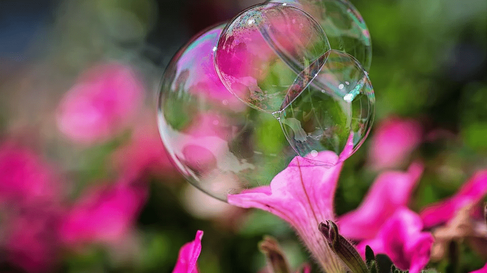 burbujas-flores-polinizadores|imagen video|tubos de polen en burbuja